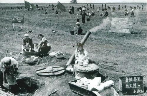 知青奇闻爆料视频大全,奇闻轶事视频大全集锦  第2张